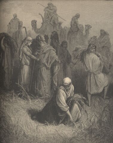Illustration Showing RUTH AND BOAZ, from The Bible (Old Testament) - drawing by Gustave Dore - 029th.jpg (36K)